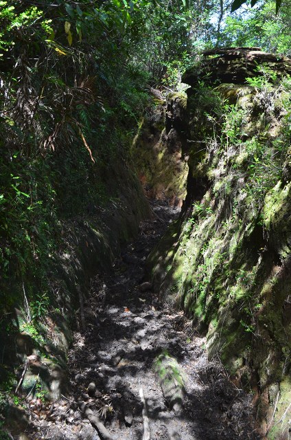 Trail pit