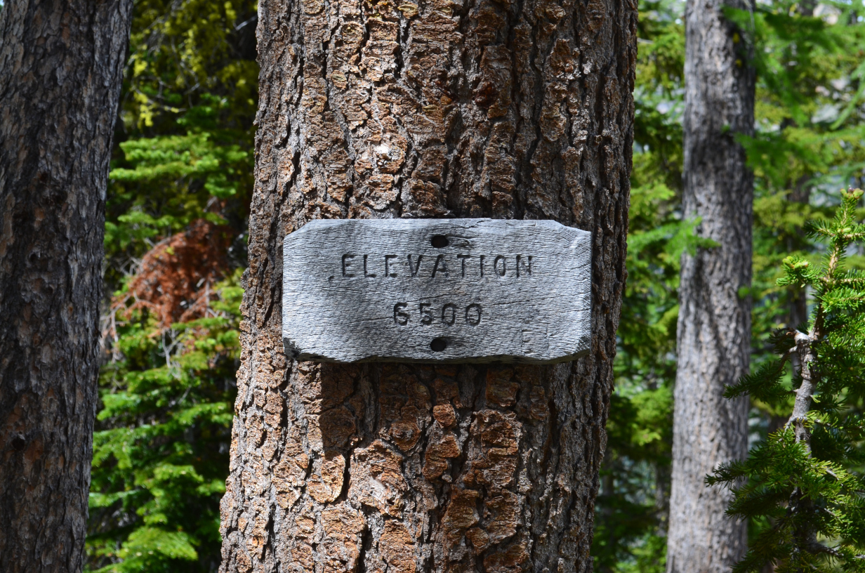 Elevation sign along Cool Creek Trail.