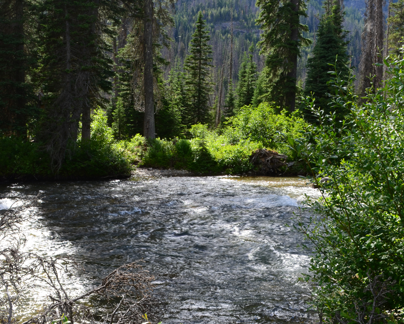 Entiat River at Larch Lakes trail.