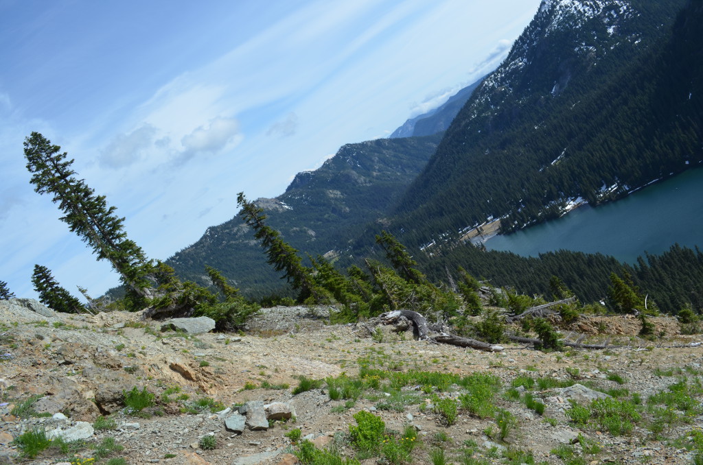 Tilted photo of trail to Peggy's Pond