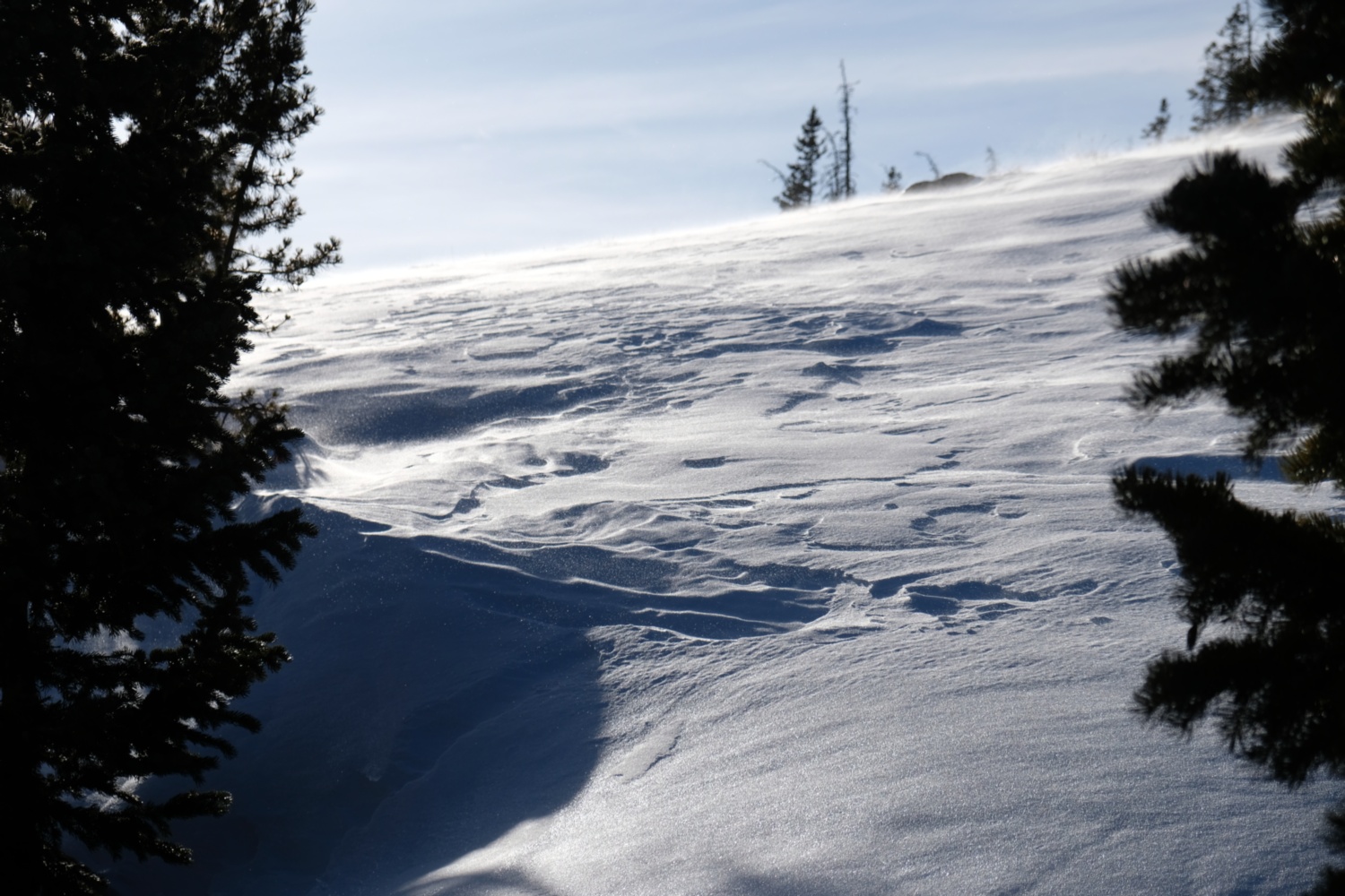 Snow blowing in the wind.