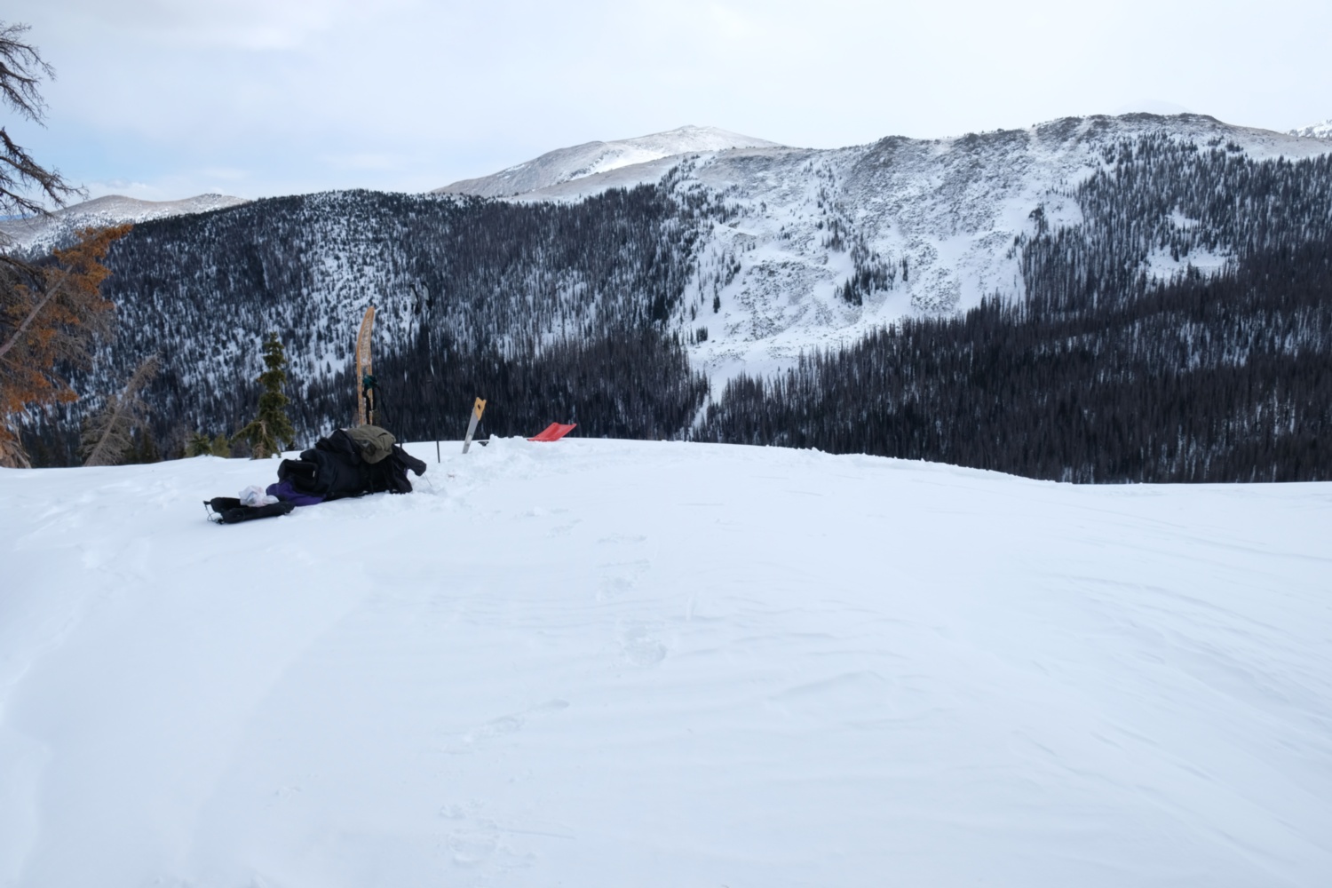 View from the ridge overlooking N. Fooses Creek.