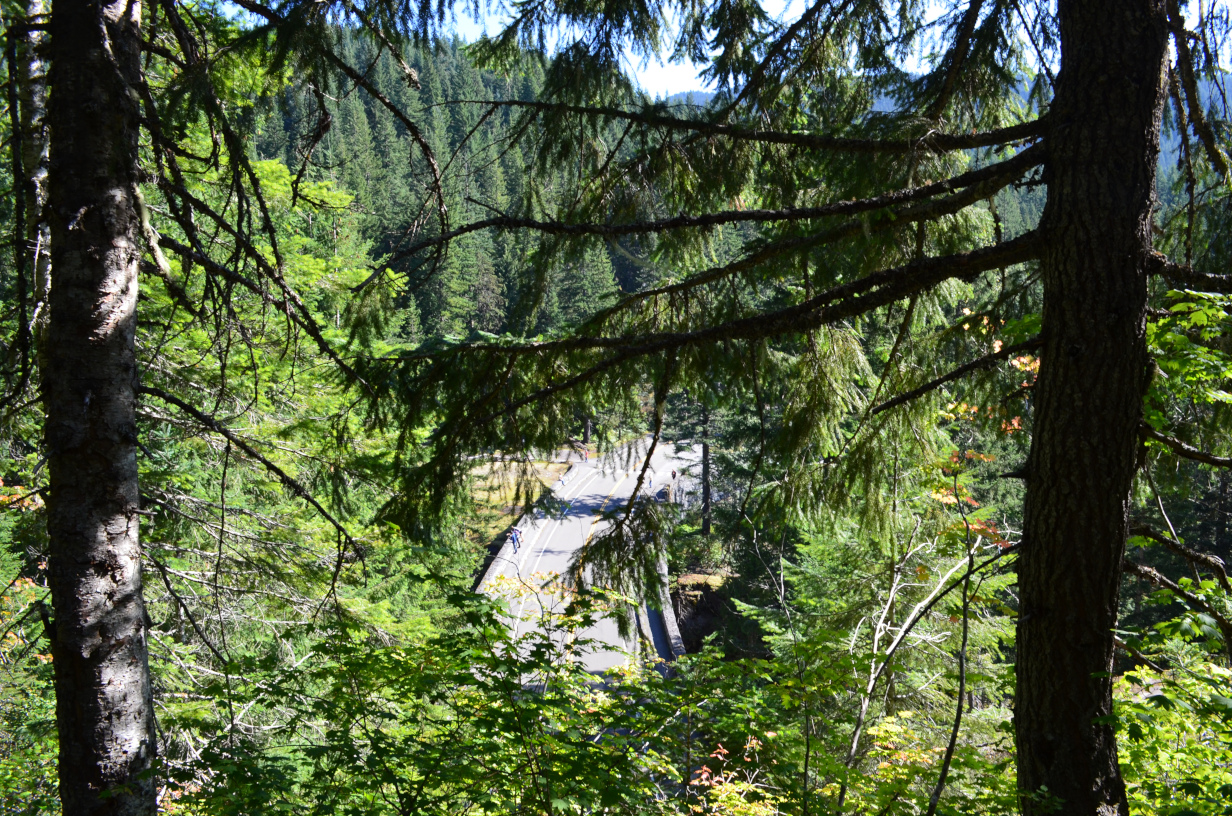 Above the tunnel, leaving the Cowlitz box area.