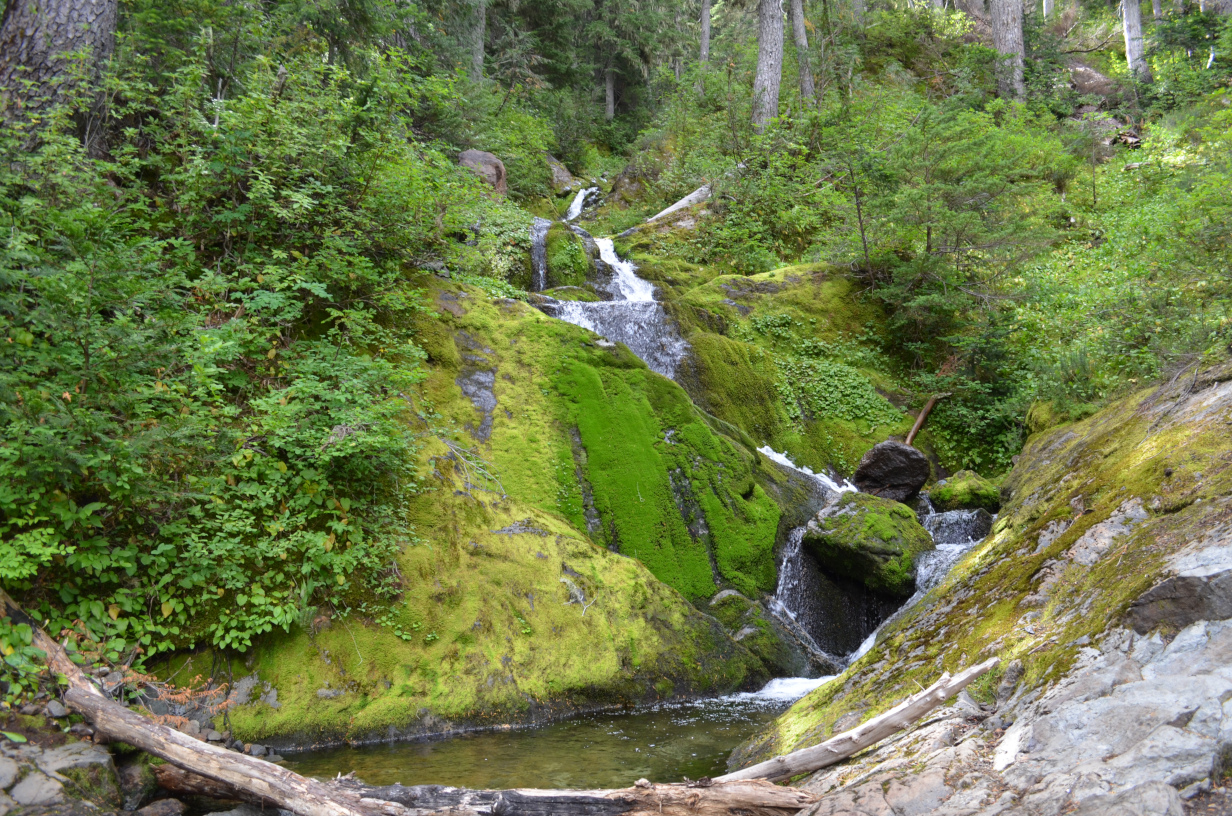 Crossing a creek on the way down to Tahoma Creek/Canyon