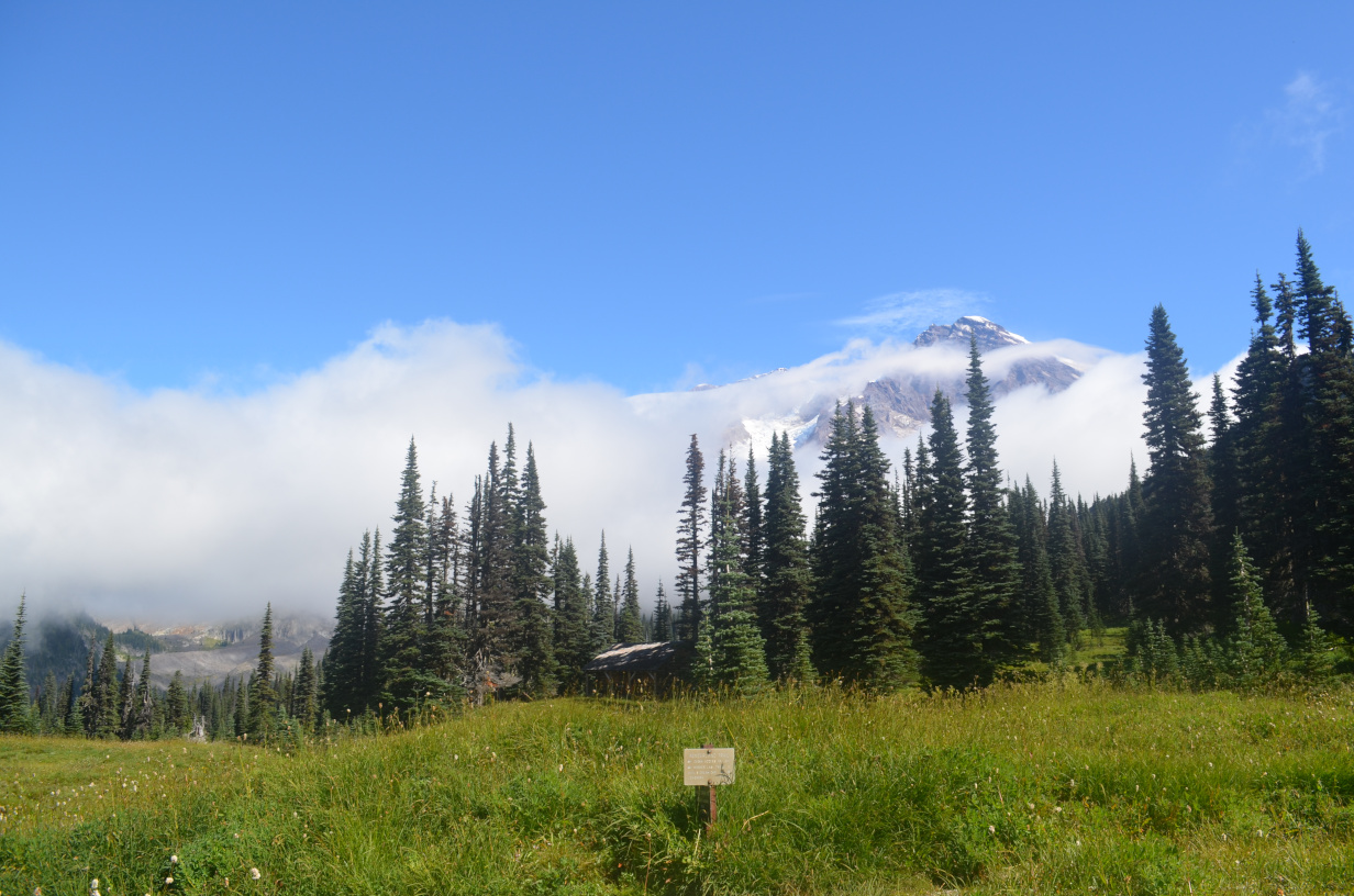 Mt Rainier and the Indian Henrys patrol cabin.