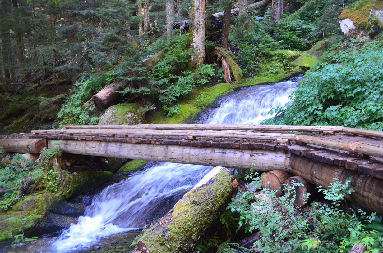 A log footbridge across a side-creek of Ipsut creek.