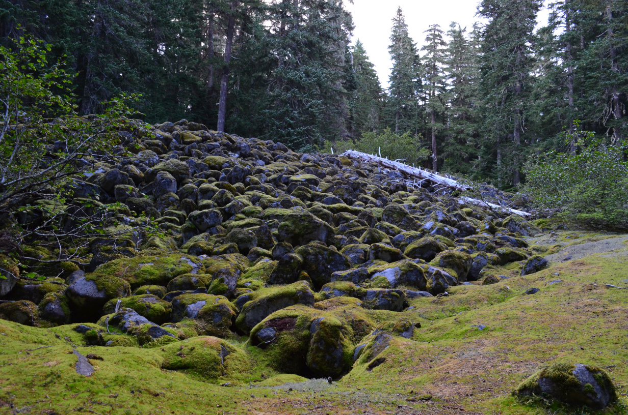 A large pile of large mossy boulders near the first nights camp site.