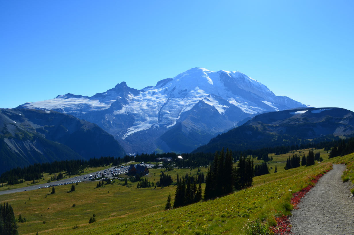 Mount Rainier from Sunrise