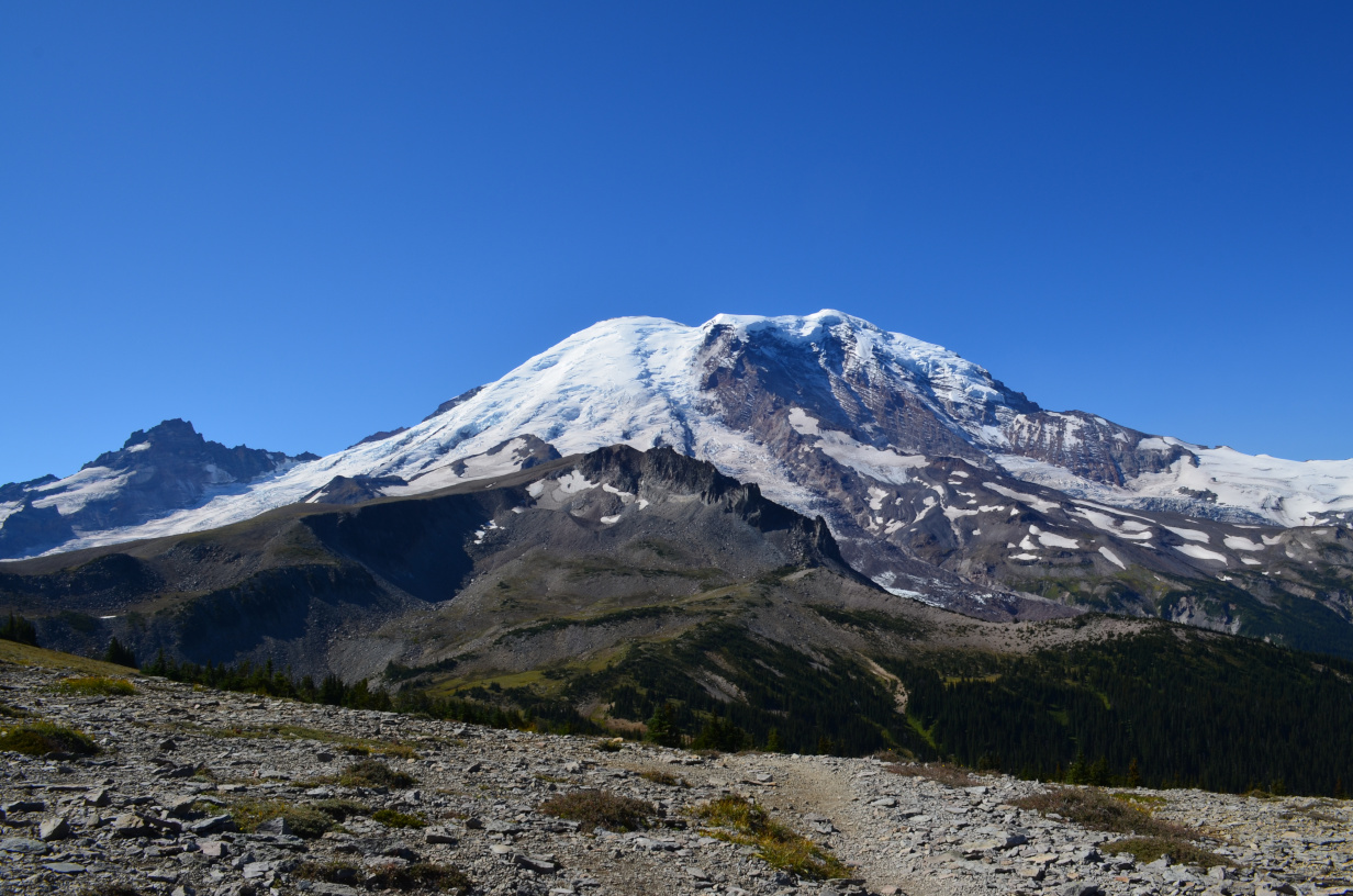 Mt Rainier from near Sunrise