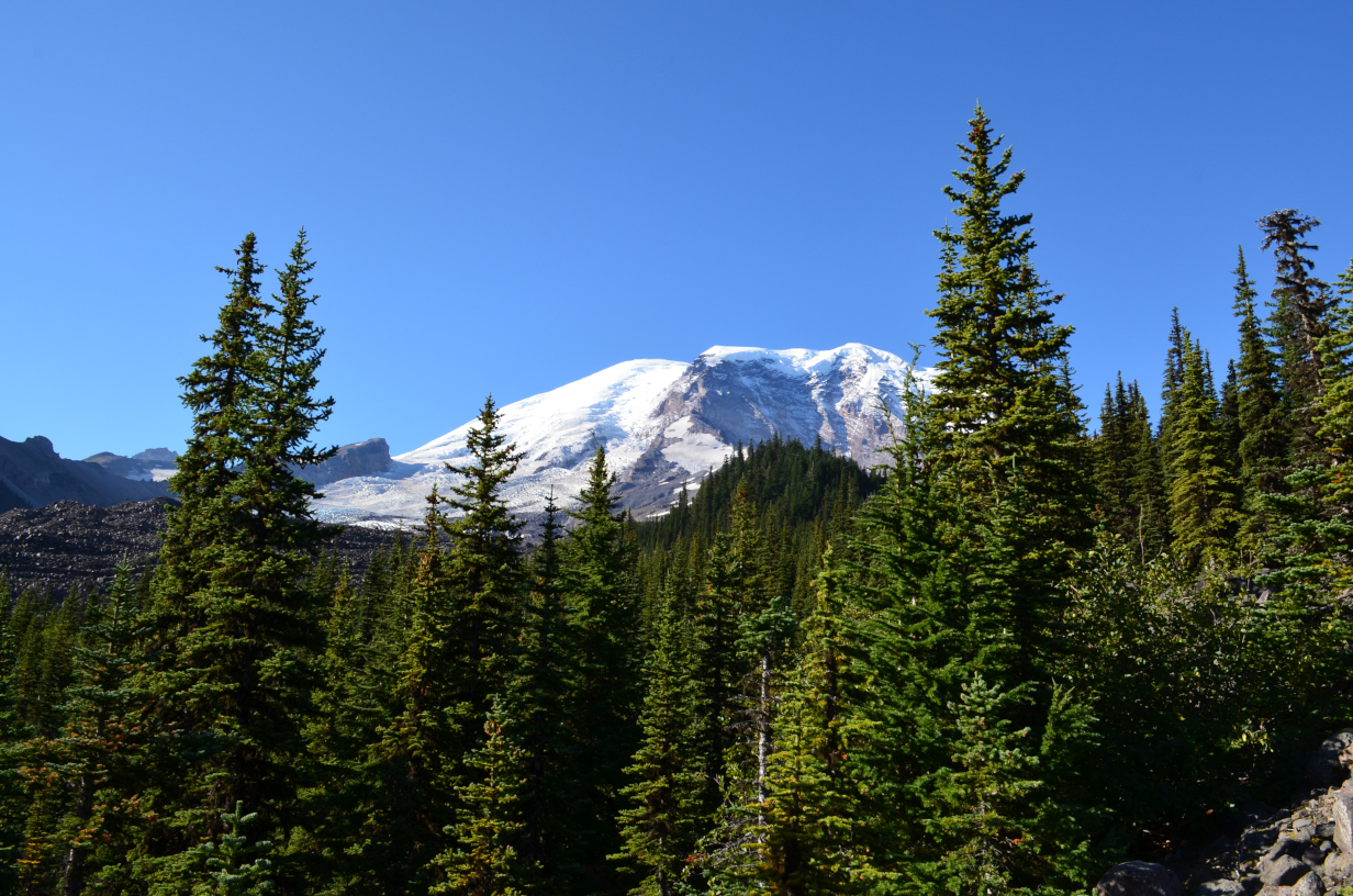 North face of Mt. Rainer.