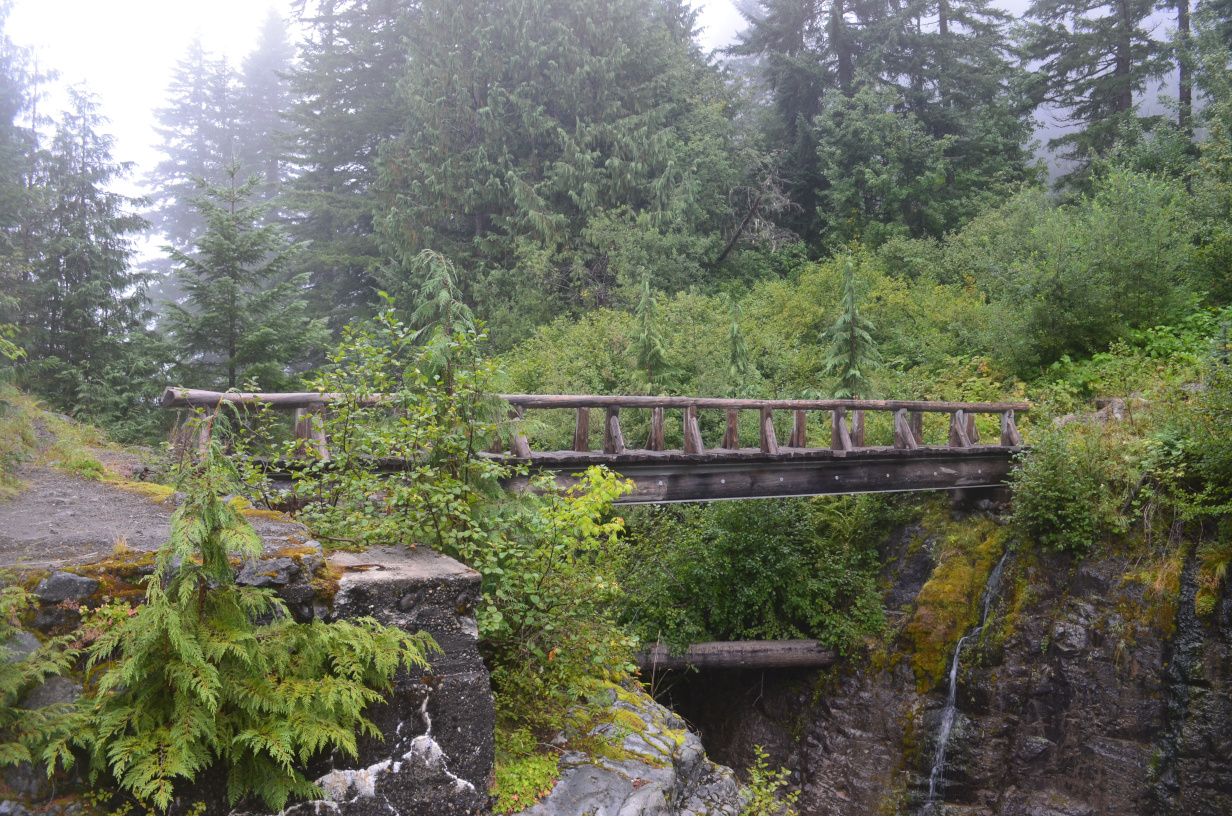 A side view of the bridge, showing the well-conceled steal support underneath.