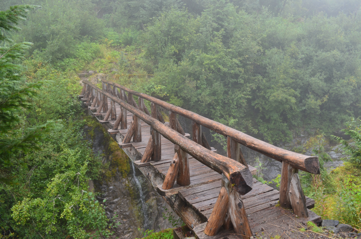 The foot bridge across North Puyallup Creek.