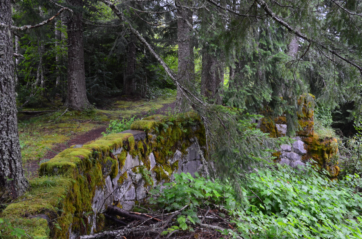 A rock wall from the old road at North Puyallup campground.