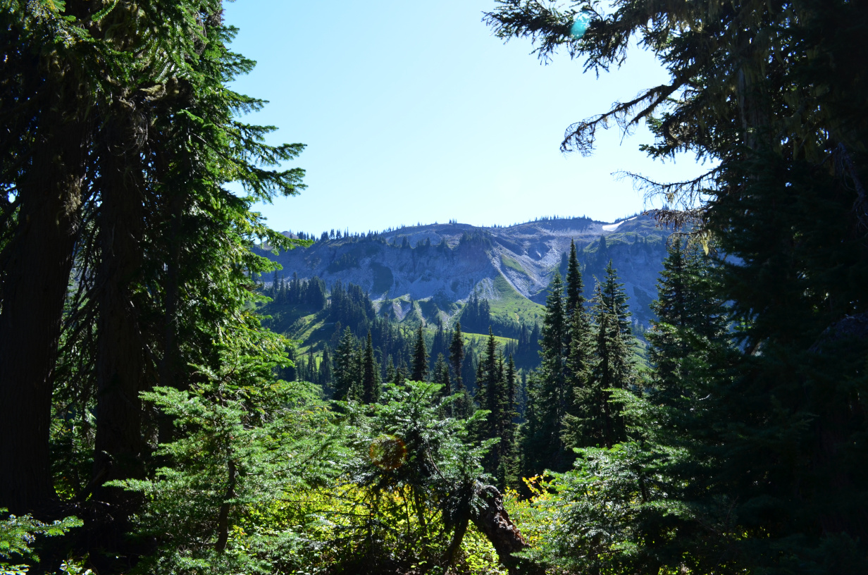 The view from the scenic outhouse.