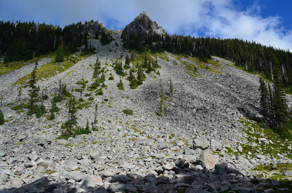 A rocky slope.