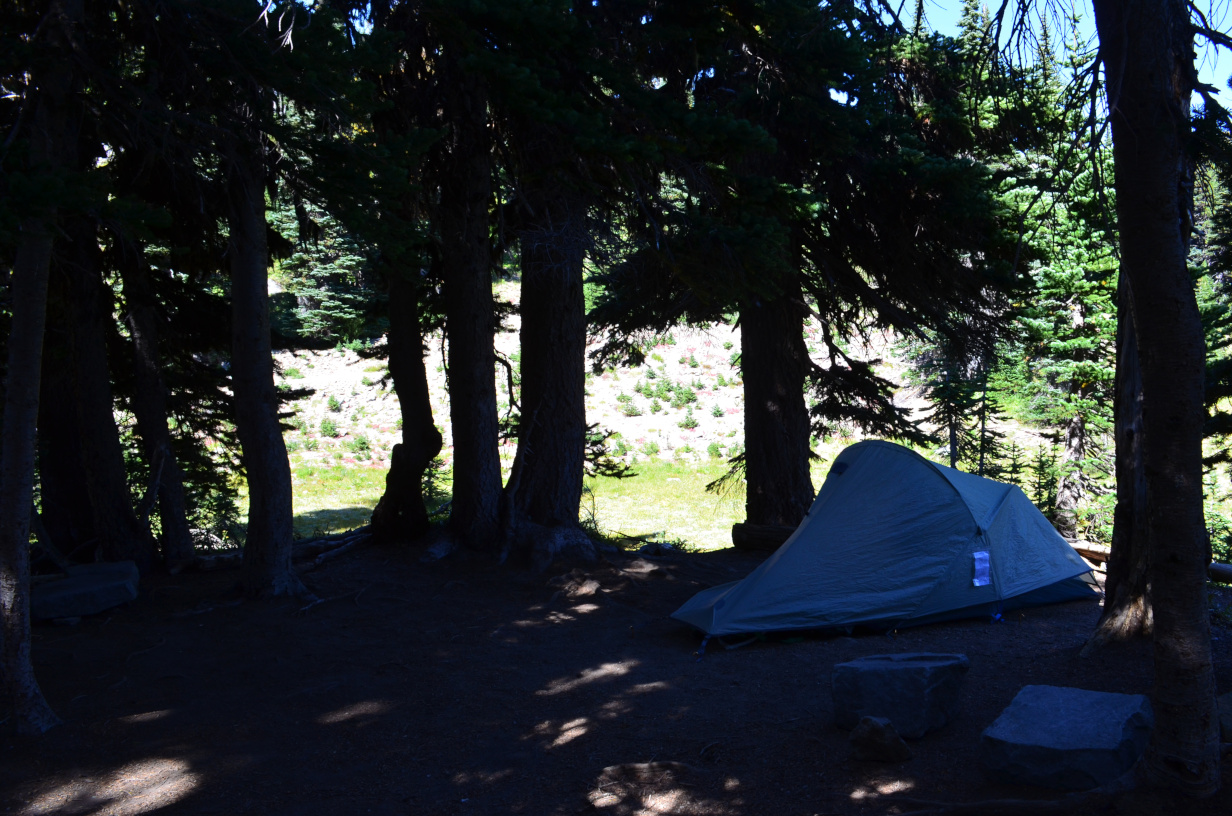 Tent in the shade at Sunrise campground.