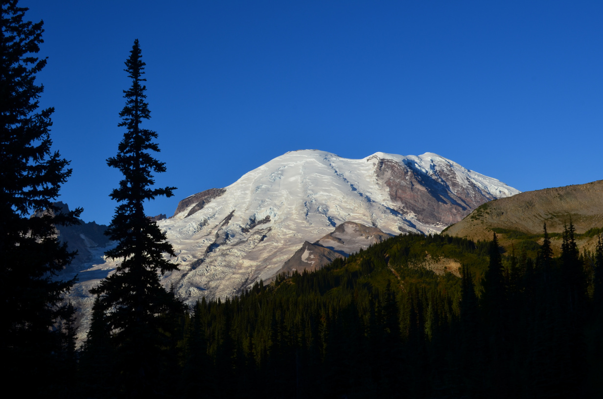 Mt Rainier from Sunrise at Sunrise.