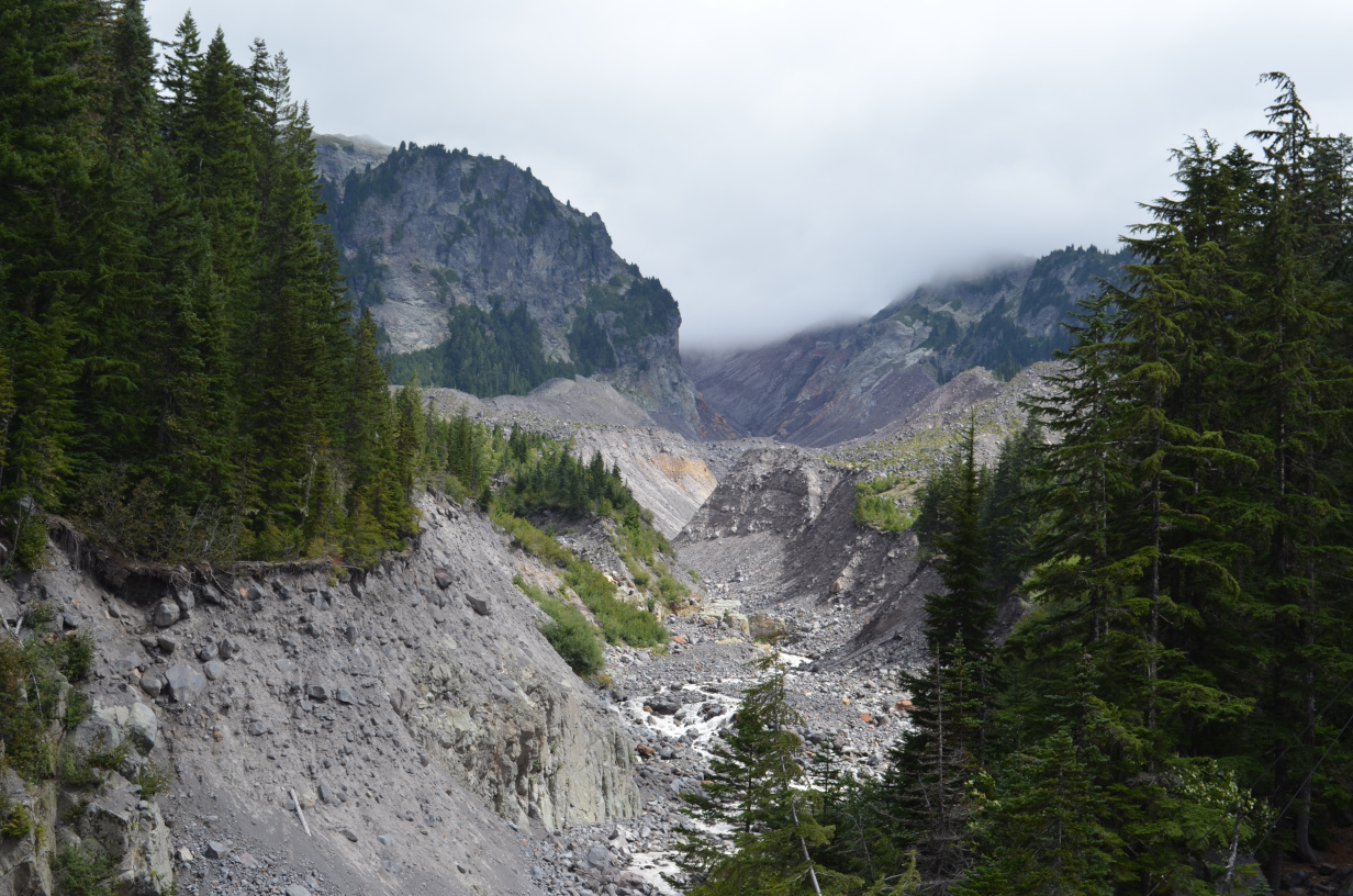 Looking up Tahoma Canyon from the Wonderland trail.