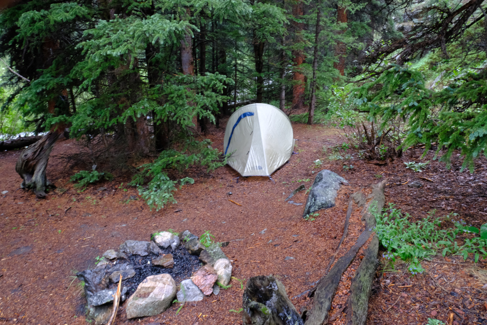 Back to camp; it is very damp.