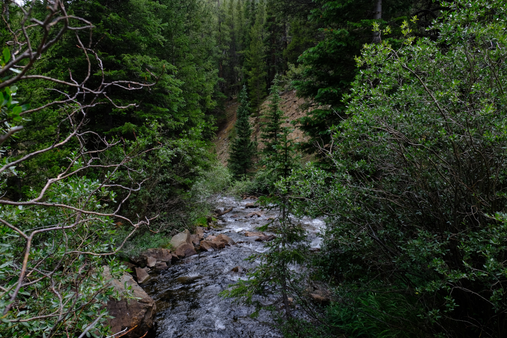 Pine Creek near the Colorado trail.