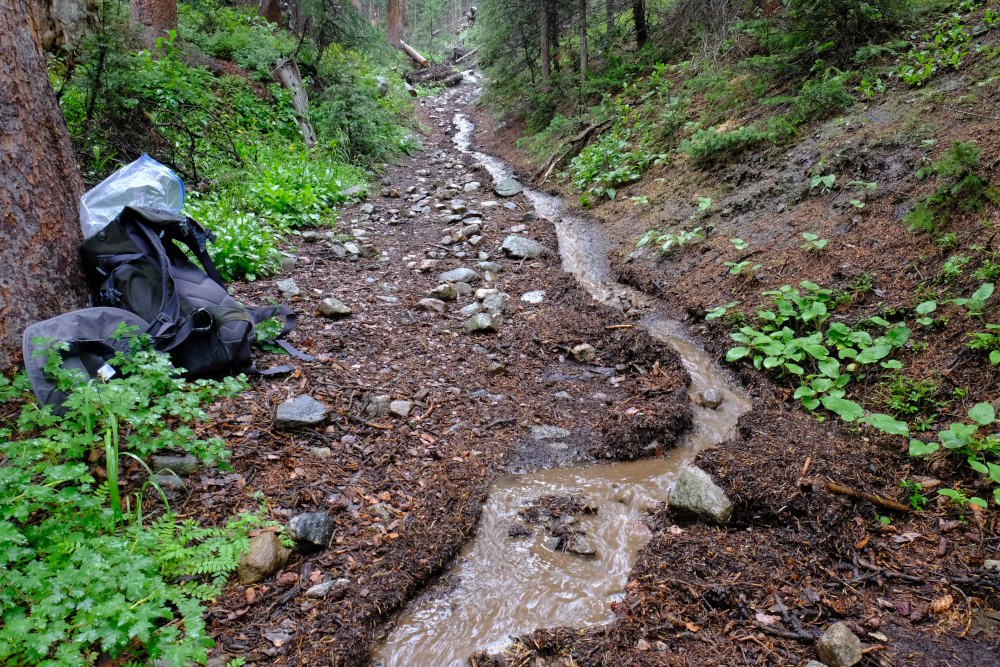 The creek running down the trail.