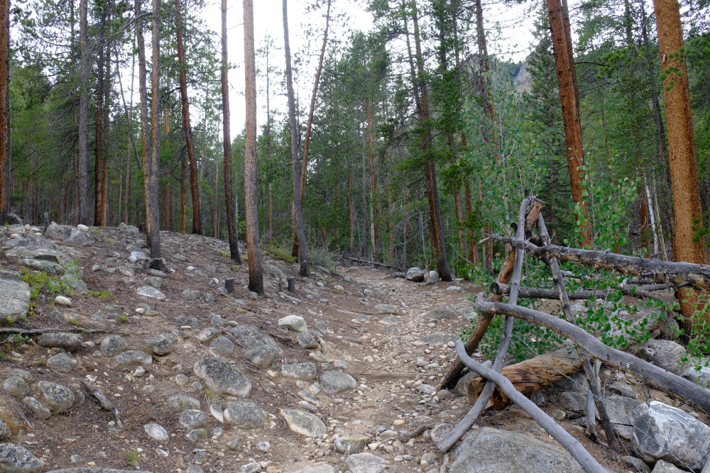 Trail near the cameras/waterworks