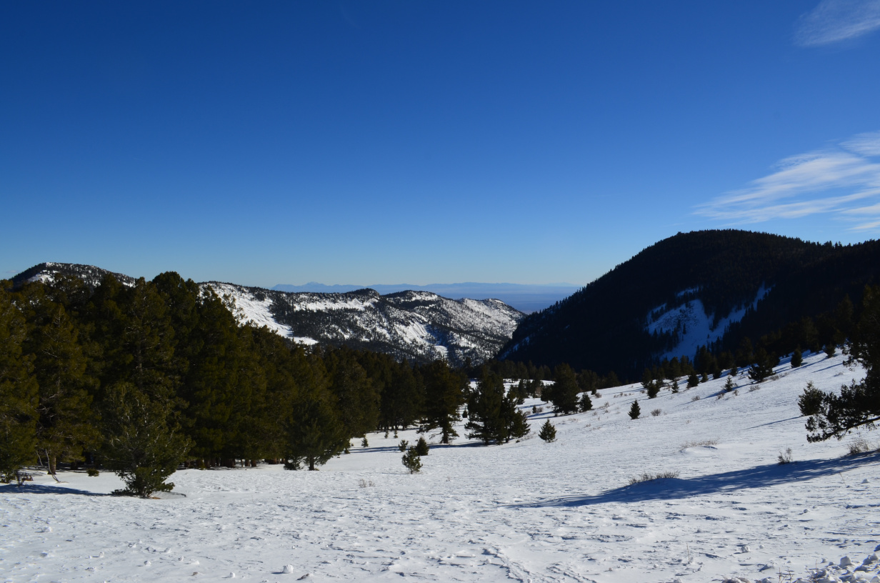 Looking down sawmill canyon from near South Baldy