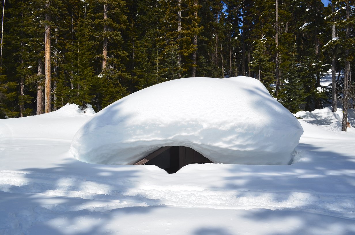 Outhouse buried in snow.