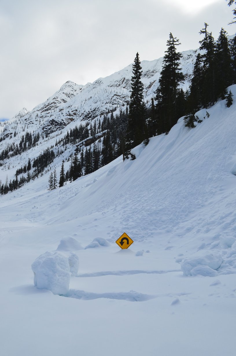 Almost burried S-curve sign