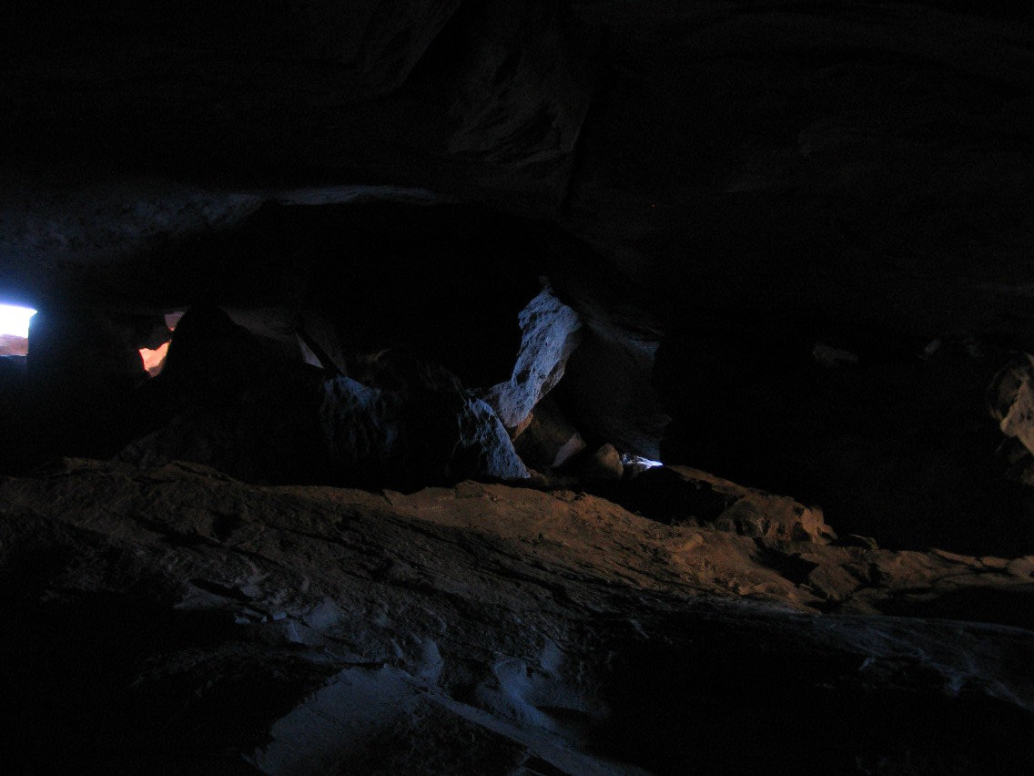 The ceiling of Buckman cave.