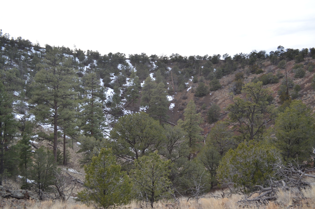 El Calderon Cinder Cone