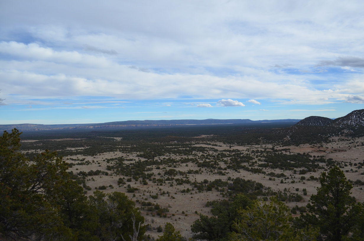 View from the top of the cinder cone.