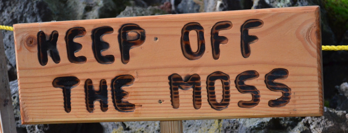 A keep off the moss sign.