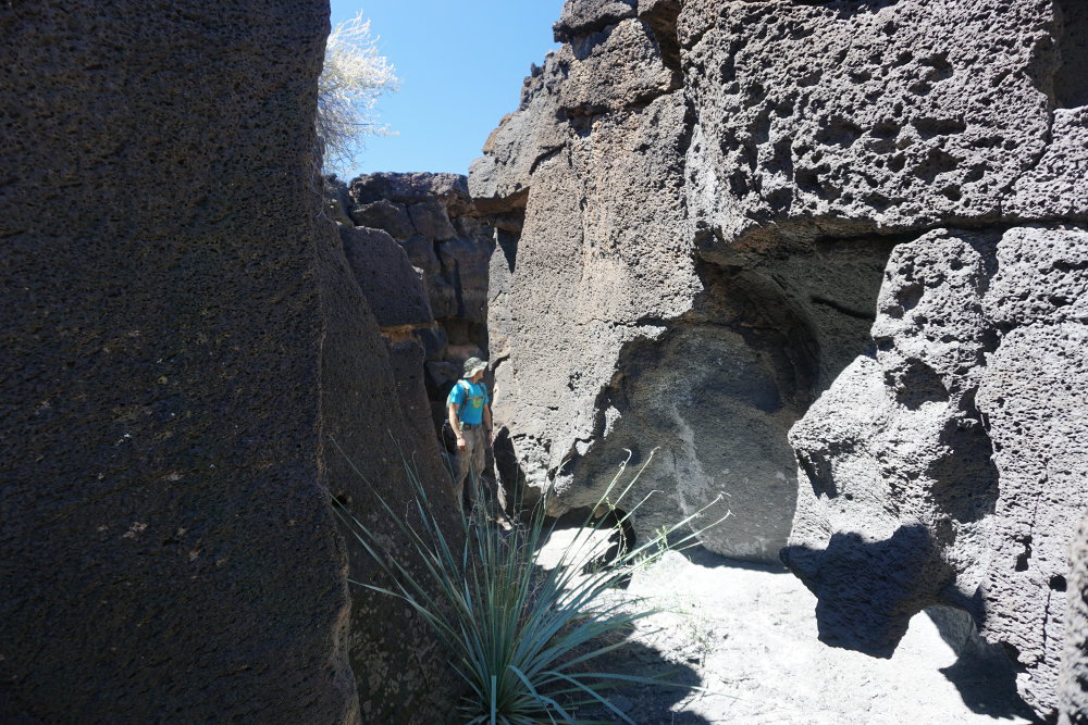 Inside one of the cracks in the old lava flow.