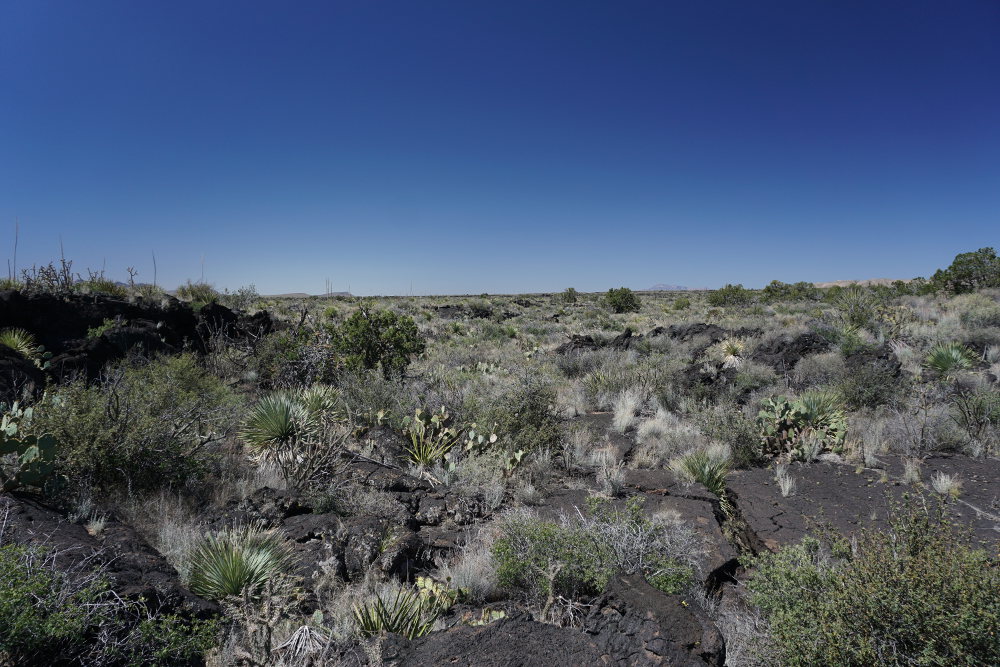 An old lava flow in which to search for caves.