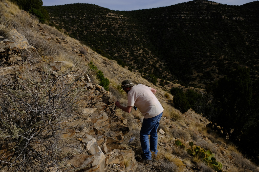 Digging for a fossil.