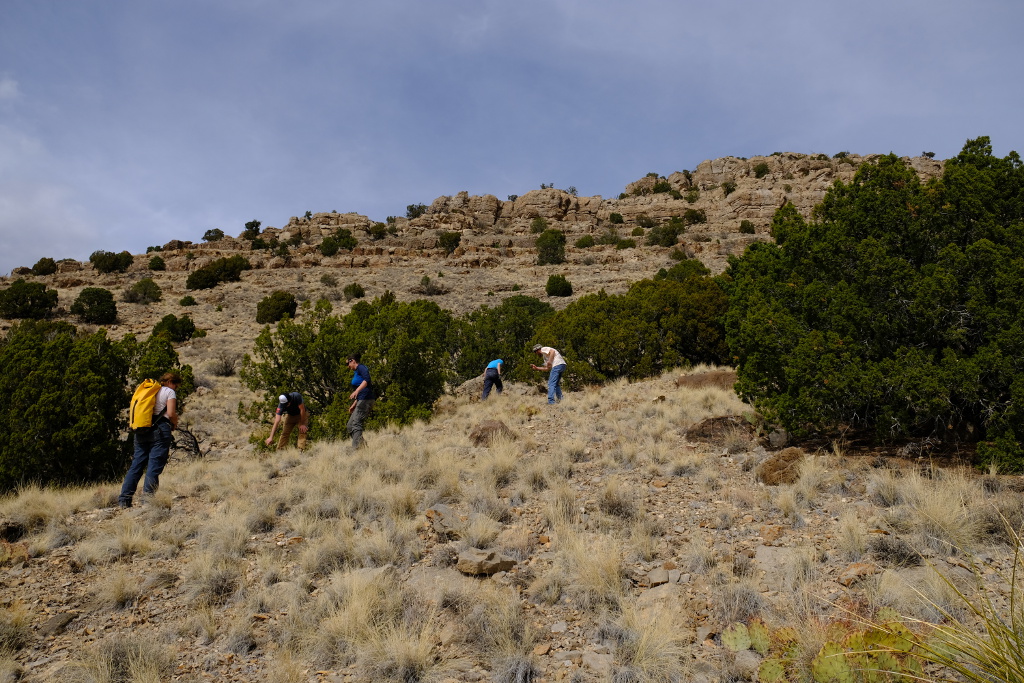 Looking for fossils.