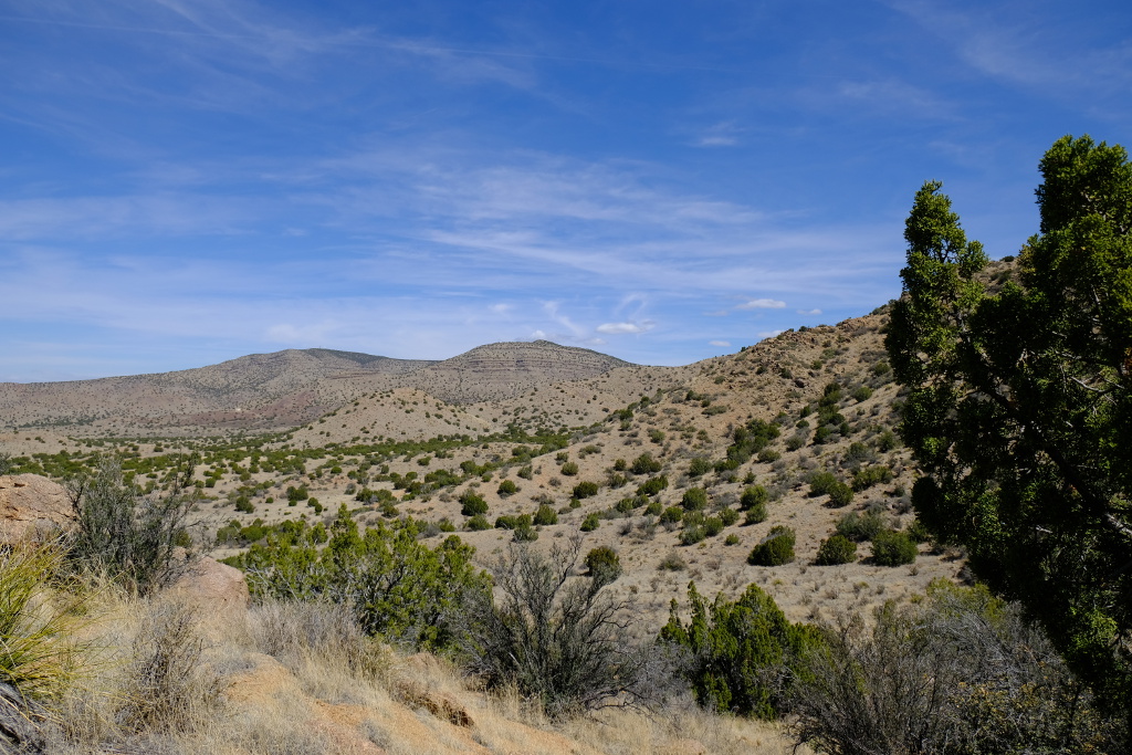 View to the north of the area.