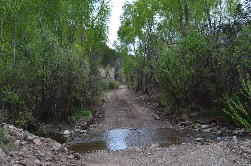 Dirt road crossing the creek.
