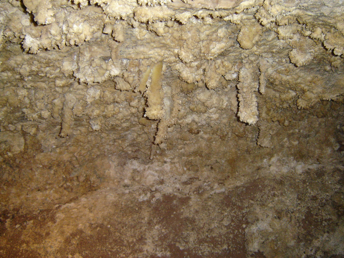 The aragonite covered section of Lincoln Caverns.