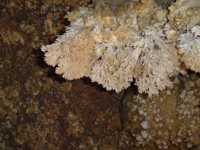 A nice aragonite busy