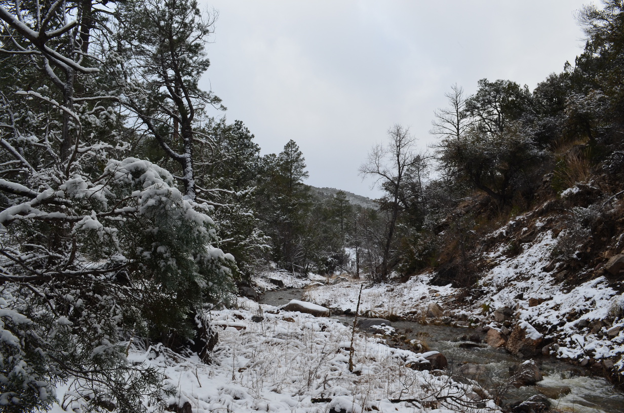 The creek near Robinson's with snow all around.