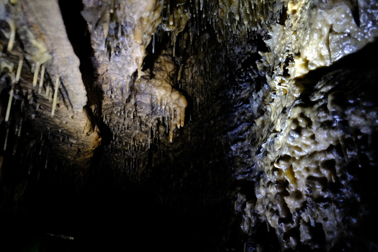 Formations on the ceiling, with mixed shadow & light.