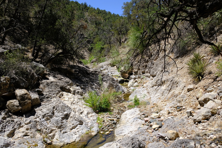 The creek near the cave, with only a trickle of water.