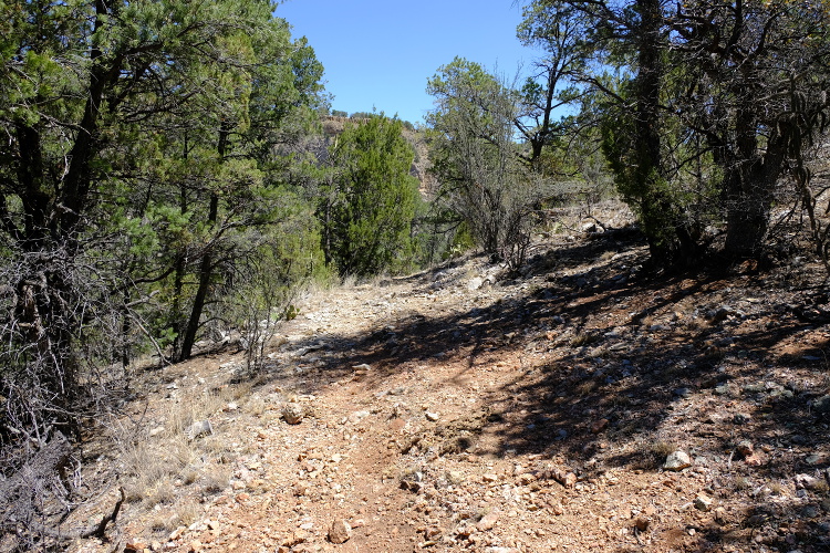 The trail going to the cave.